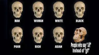 Skull Comparisons meme card, common rarity
