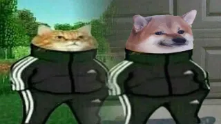 Slav Cat / Slav Cheebs meme card, common rarity