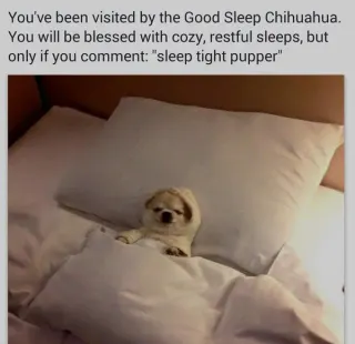 Sleep Tight Pupper meme card, epic rarity