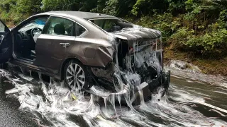 Carte meme Slime Eels Car, rareté commune
