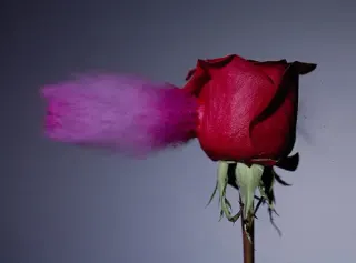 Slow Motion meme card, common rarity