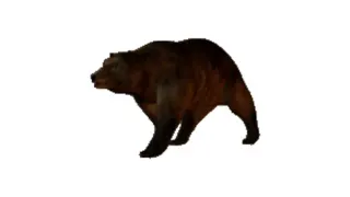 Slowly Approaching Bear meme card, common rarity