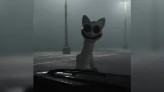 Carte meme Smile Cat, rareté commune