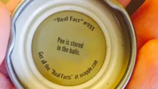 Snapple Facts "Real Fact" meme card, common rarity