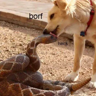 Snek meme card, epic rarity