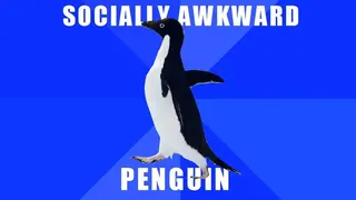 Socially Awkward Penguin meme card, epic rarity