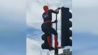 Spider-Man Twerking on a Stoplight meme card, common rarity