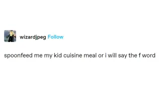 "Spoonfeed Me My Kid Cuisine Meal Or I Will Say The F Word" meme card, common rarity