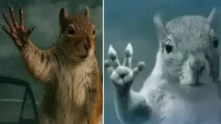 Squirrel Waving Bye In Tornado meme card, common rarity