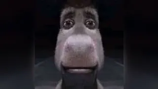 Staring Donkey meme card, rare rarity
