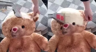 Steam Cleaned Teddy Bear meme card, common rarity