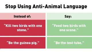 Carte meme Stop Using Anti-Animal Language, rareté commune
