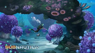 Carte meme Subnautica, rareté commune