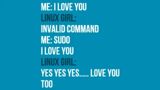 Sudo I Love You meme card, common rarity