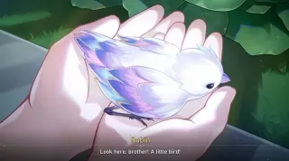Sunday's "Charmony Dove" Copypasta meme card, common rarity