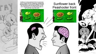 Sunflower Back, Peashooter Front meme card, common rarity
