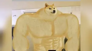 Swole Doge meme card, rare rarity