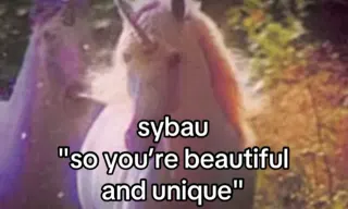 Carte meme SYBAU, rareté rare