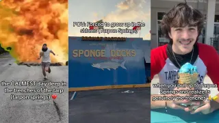 Tarpon Springs meme card, common rarity
