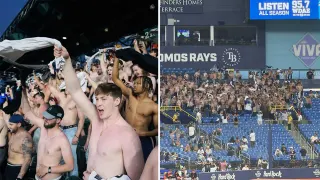 Tarps Off Trend meme card, common rarity