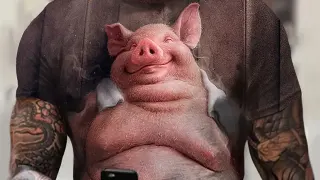 Carte meme Temu Pig Shirt, rareté commune