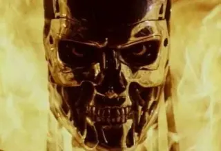 Carte meme Terminator, rareté commune