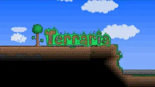 Terraria meme card, common rarity