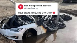 Carte meme Tesla Cult, rareté commune