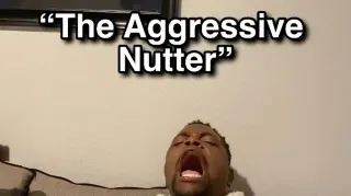 The Aggressive Nutter meme card, common rarity