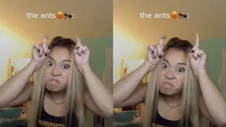 The Ants 😡 🐜 meme card, common rarity