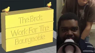 The Birds Work for the Bourgeoisie meme card, rare rarity