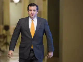 The Delegates, Donald meme card, rare rarity