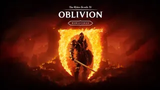 The Elder Scrolls IV: Oblivion Remastered meme card, common rarity