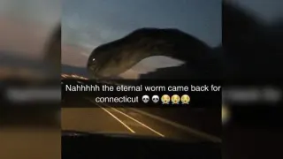The Eternal Worm Came Back For Connecticut meme card, common rarity