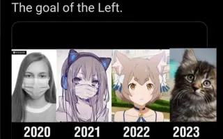 The Goal Of The Left meme card, common rarity