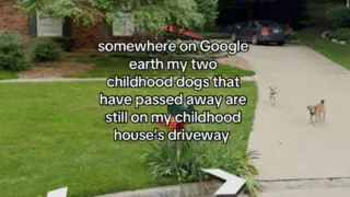 Carte meme The Google Earth Trend (TikTok), rareté commune