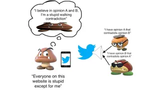 The Goomba Fallacy meme card, common rarity