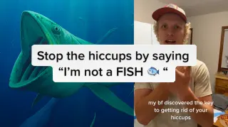 The "I Am Not A Fish" Hiccups Cure meme card, rare rarity