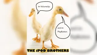 The iPod Brothers / The Fuck You Brothers / Sniff and Whimper meme card, common rarity
