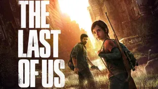 The Last of Us meme card, common rarity