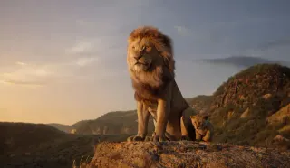 The Lion King (2019 Film) meme card, common rarity