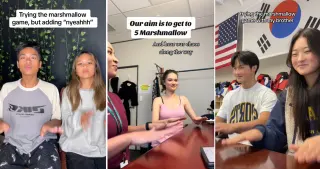 The Marshmallow Game / Check It Out Woo (TikTok) meme card, common rarity