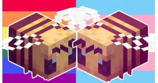 The Minecraft Bee Is Trans meme card, rare rarity