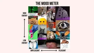 The Mood Meter meme card, common rarity