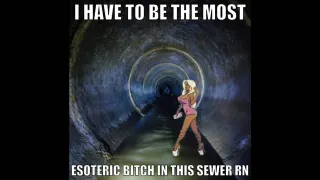 The Most Esoteric Bitch meme card, common rarity