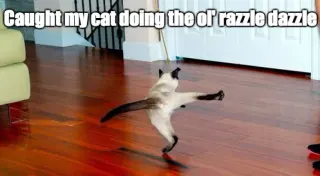 The Ol' Razzle Dazzle meme card, rare rarity
