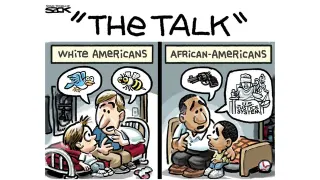 "The Talk" White Americans Vs. African-Americans meme card, common rarity