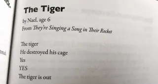 "The Tiger" By Nael, Age 6 meme card, common rarity