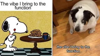 The Vibe I Bring To The Function meme card, common rarity