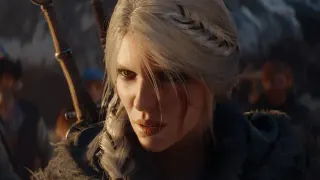 The Witcher 4 meme card, common rarity